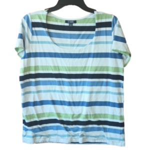 (a-1-9) Heavy lined slate blue lime white striped short sleeve scoop neck tee 1X